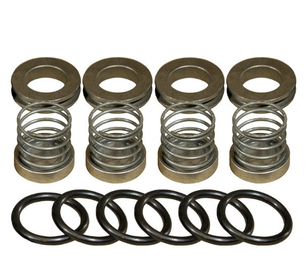 FMC/Bean 5251825 R10/R20 Valve Kit