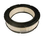 Vanguard/Briggs and Stratton Air Filter Replacement 692519