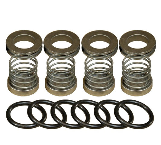 FMC/Bean 5251825 R10/R20 Valve Kit