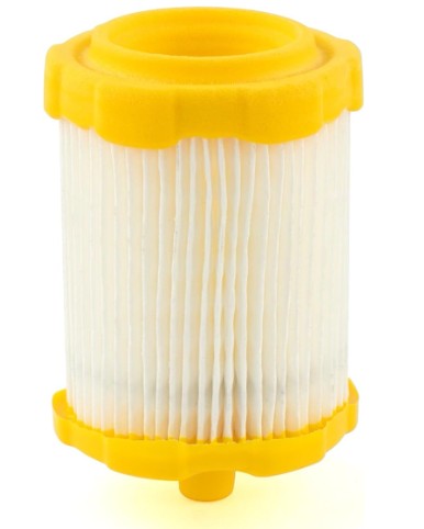 Briggs & Stratton 84002309 Air Filter