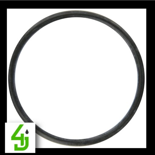 Banjo 1½" X 1½" Y Strainer Viton Gasket LST150GV