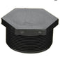 Poly Plug - MPT 2 inch - PLUG200