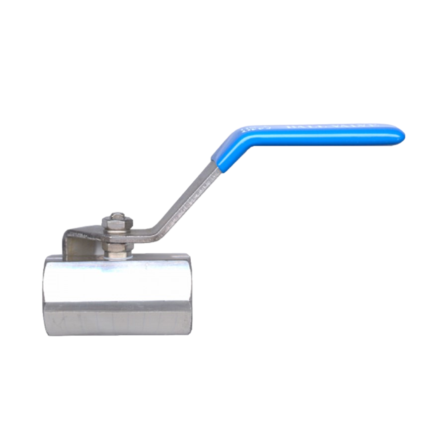 Stainless Steel 1/2 Inch MPT x 1/2 Inch FPT Mini Ball Valve FF-BVSS2103-D