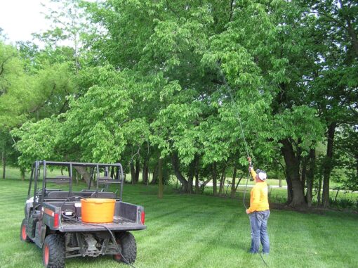 EFHP2000 spraying trees